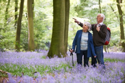 Senior couple hiking through a scenic forest with blooming purple wildflowers, enjoying nature and meaningful social connection during the spring season.